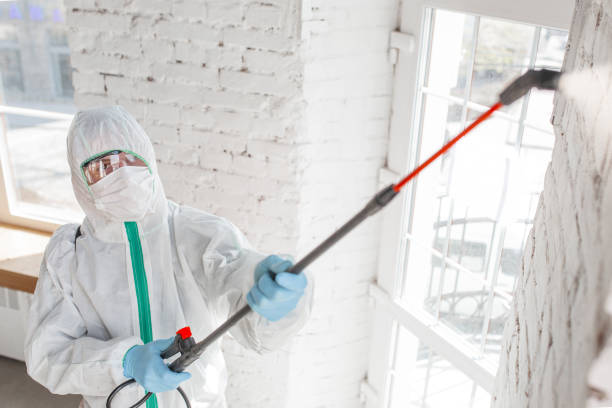 Best Crawl Space Mold Remediation  in Canton, GA