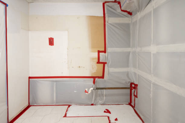  Canton, GA Mold Removal Pros