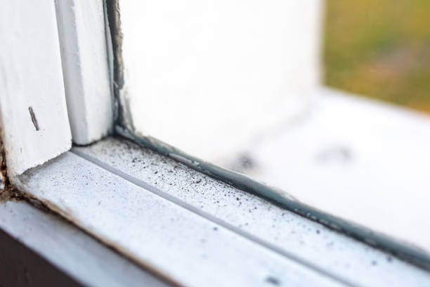 Best Mold Removal for HVAC Installations  in Canton, GA
