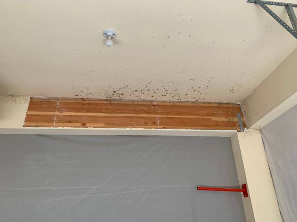 Best Post-Remediation Verification Testing  in Canton, GA